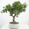 Factory Price Wholesale Artificial Podocarpus Tree Artificial Pine Trees Small Bonsai for Sale