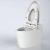 Import Factory supply bathroom wc hotel toilet bowl smart with bidet from China