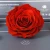 Import Factory supply decorative rainbow decoracion de flor silk rose preserved red rose head artificial flowers for wedding party gift from China