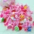 Import Fashion Children Headwear Hair Clips Hairbands Hair Accessories from China