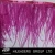 Import Fashion Natural Ostrich Feather Trimming from China