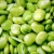 Import fava beans broad China manufacturer from China