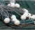 Import fishing float making materials fishing net float from China