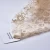 Import Floral Pattern Garment Accessories Trim Embroidery Lace from China