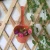 Import Flower/Green Plant Used With and Hanging Usage Condition hanging planter basket for garden decor from China