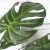Import Flowerking factory direct artificial plant real touch artificial turtle leaf for decorate home and garden from China