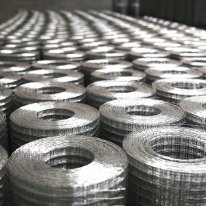 For Animal Cage Galvanized Welded Wire Mesh Roll 16 Gauge Plain Weave Welded Wire Mesh