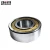 Import free dildos and vibrators ntn bearing SL0 4 5012 Cylindrical Roller Bearing from China