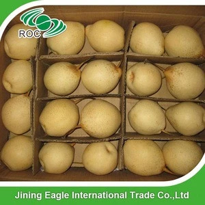 Fresh asian ya pear from hebei province wholesale