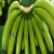 Import Fresh Cavendish Bananas Of Ecuador from Ecuador