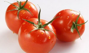 Fresh Cherry Tomatoes/ Fresh Tomatoes