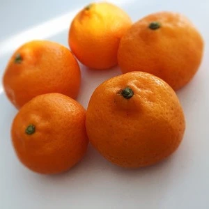 Fresh Citrus Fruits, Juicy Oranges for sale