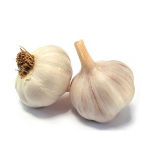 Fresh garlic specification;white garlic