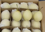 Fresh Golden Crown Pear