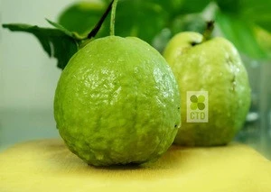 Fresh Guava VIETNAM