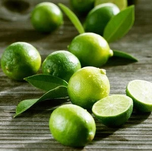 Fresh Lime cheap sales