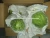 Import fresh White cabbage from China