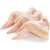Import Frozen chicken wings 3 joints, Halal Chicken wings 3 joints wholesale prices frozen chicken wing from South Africa
