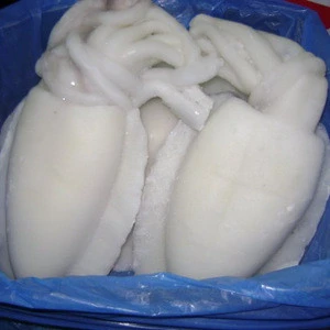 Frozen Whole Round Cuttlefish/Frozen Baby Cuttlefish /Frozen Clean Cuttlefish