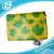 Import Full Printed Waterproof Foldable PP Woven/Non Woven Beach Mat/Camping mat from China