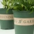 garden supply round indoor outdoor decor nursery gallon small plant black green pot flower pot plastic