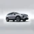 Import Geely Livan 9 Electric SUV Founding Version Whith 6 Seats from China