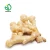 Import ginger export/ginger buyers/ginger dry from China