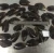 Import Good quality Frozen whole shell blue Mussel from China
