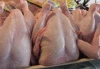 Grade A Frozen Whole Chicken , Halal Feet Chicken,Chicken paws and Chicken Parts