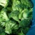 Import grade AAA fresh vegetables organic frozen broccoli from Thailand