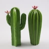 green plant ornamental cactus ceramics with flower