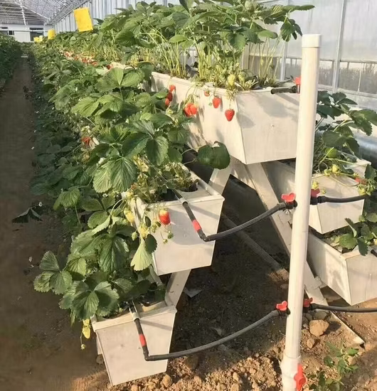 Greenhouse Eco-Friendly Hydroponic Vertical Growing System PVC Nft Gutter Channel for Strawberry