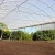 Import Greenhouses High Quality Advanced Agriculture Glass Greenhouses from China