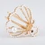 Import Hair Accessories Alloy Claw Clip High Quality Pearl Shell Shape Hair Claw Clip For Decoration from China