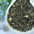 Import Handmade Organic Good quality A Jasmine Green Tea Jasmine green Tea Ready to Ship from China