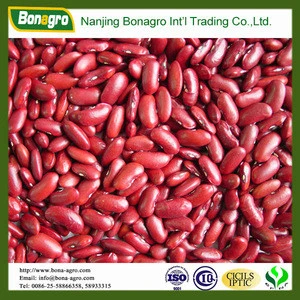 Heilongjiang red kidney bean 2014 new product China supplier