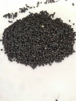 high quality and cheap  diammonium phosphate for sale (DAP) / Diammophos / Fertiliser