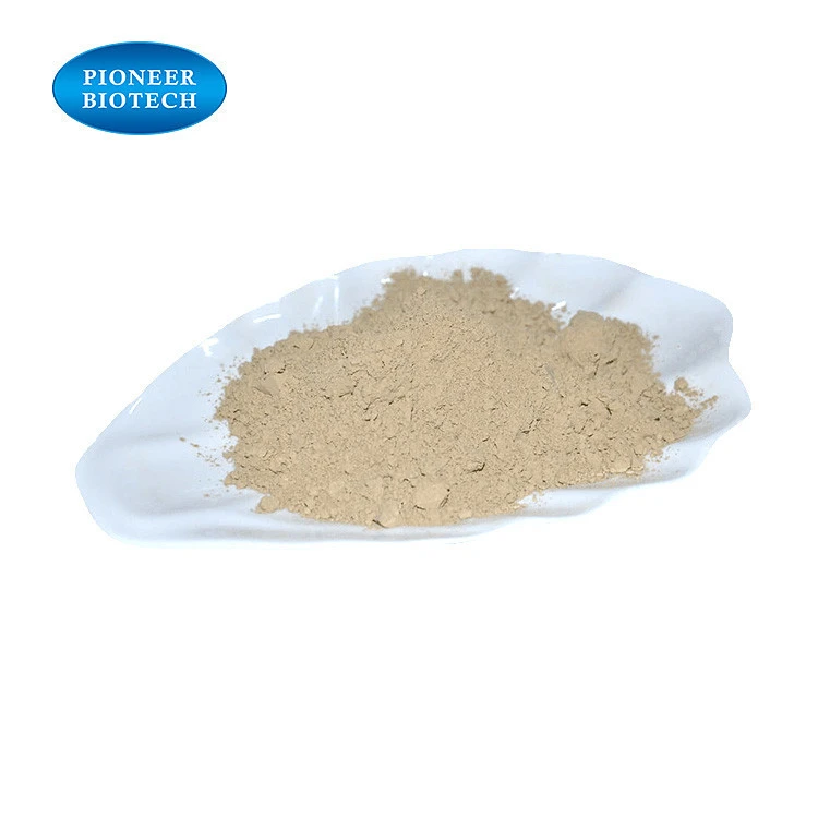 High quality Chickpea protein 80% Chickpea extract manufacture supply