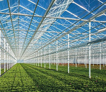 High Quality Glass Venlo greenhouse with PC sheet