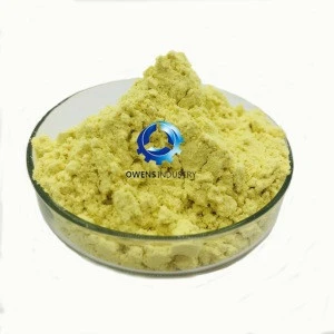 High quality herb extract Quercetin