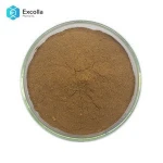 High Quality Lion's Mane Mushroom Extract