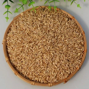 High Quality Oats Seeds / Grains /Raw / Whole/for sell/kernels/ flakes