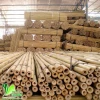 High Quality Organic Certified Bamboo Raw Material