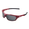 High Quality TR90 Frame PC Lens Sunglasses Latest Sports Eyewear