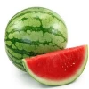 High Quality Water Melon Powder