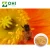 Import honey Bee Pollen extract from China