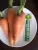 Import HOT PRODUCT - PREMIUM QUALITY FRESH CARROT FROM VIETNAM from Vietnam
