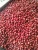 Import Hot Sale Pearl White Red Kidney Beans from China