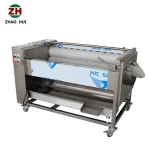 hot sale root vegetable radish potato ginger washer carrot beet onion yam peeling machine with low price
