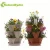 Import Hot Sell Smart Self Watering Vertical Garden With Irrigation from China